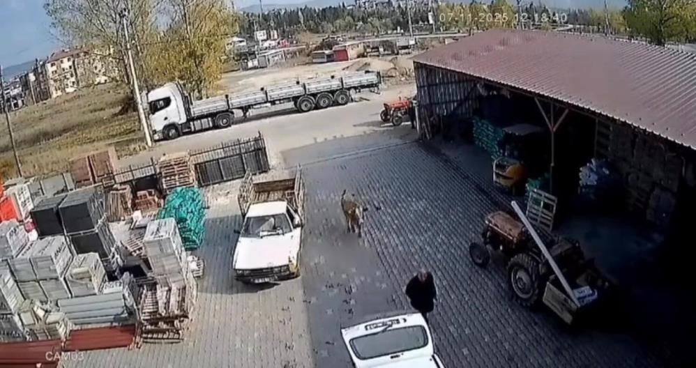 Inekisyerideposumasaldırdıvatandaslarzorkactı