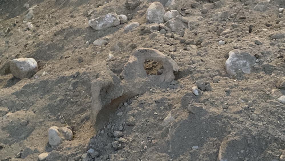 Kazıcalısmalarısırasındainsankemikleribulundu