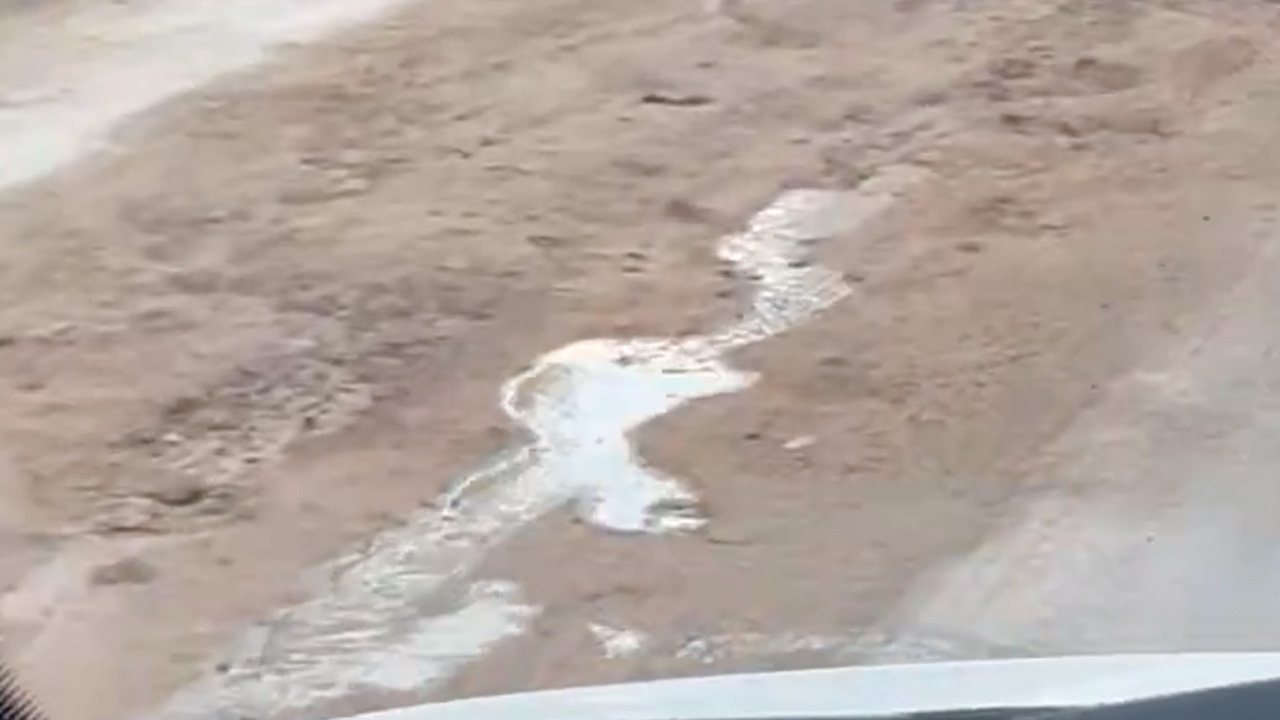 Kepezdedirekgittitozukaldi