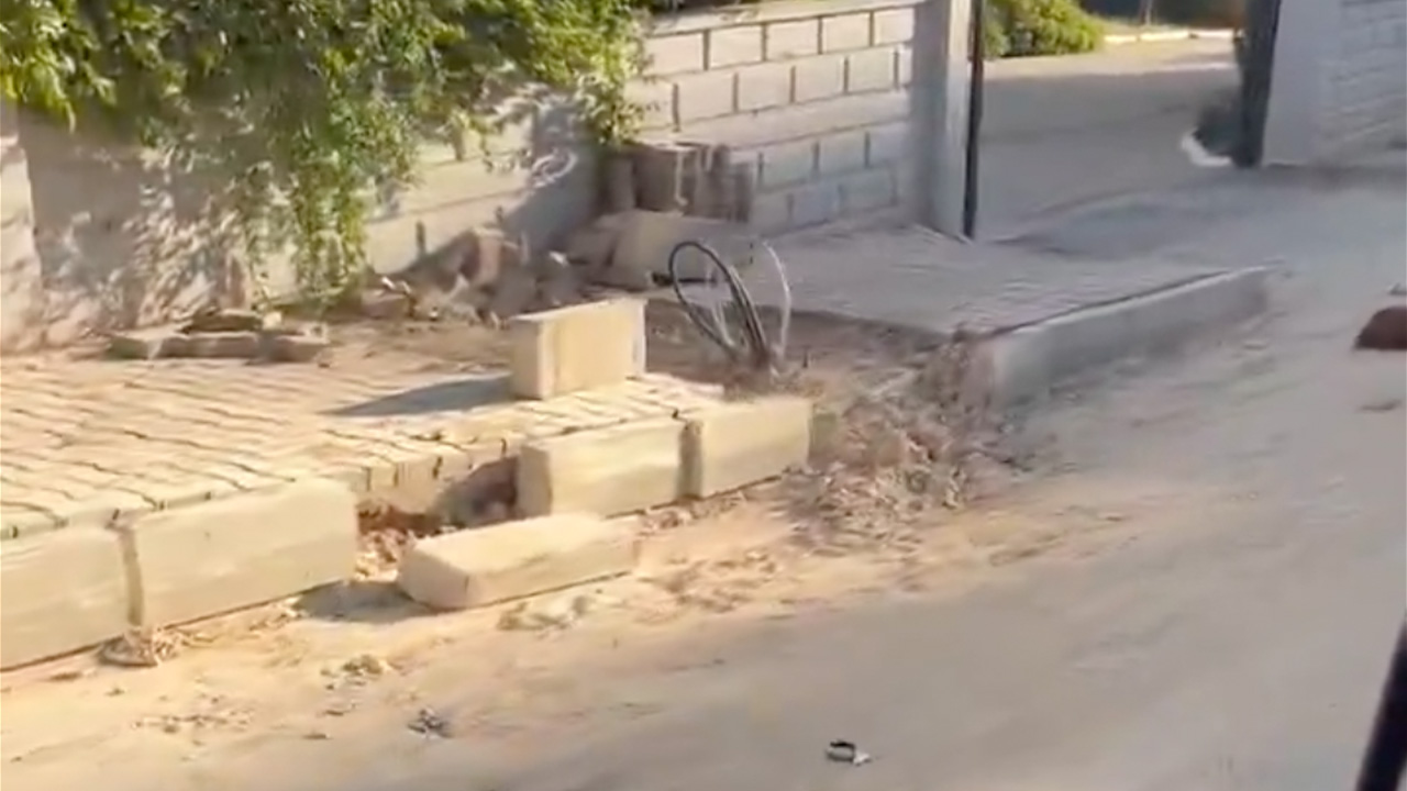 Kepezdevatandasciledencikti