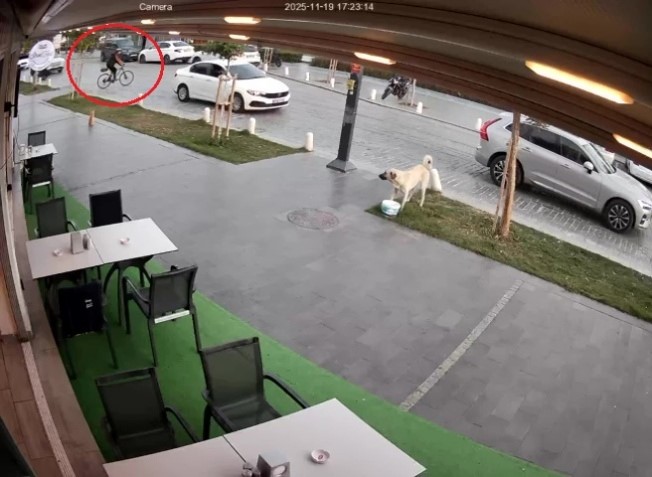 Konyaaltindafecikaza