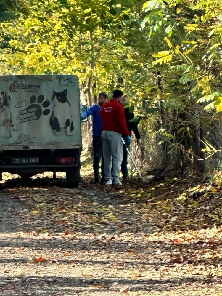 Kopegibayilttiktansonrasurukledi