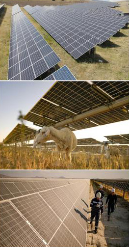 Korkutelineyarimmilyarlikproje