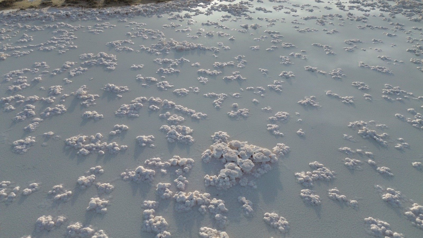 Kurakliksasırttizararinicindendogaharikasicikti