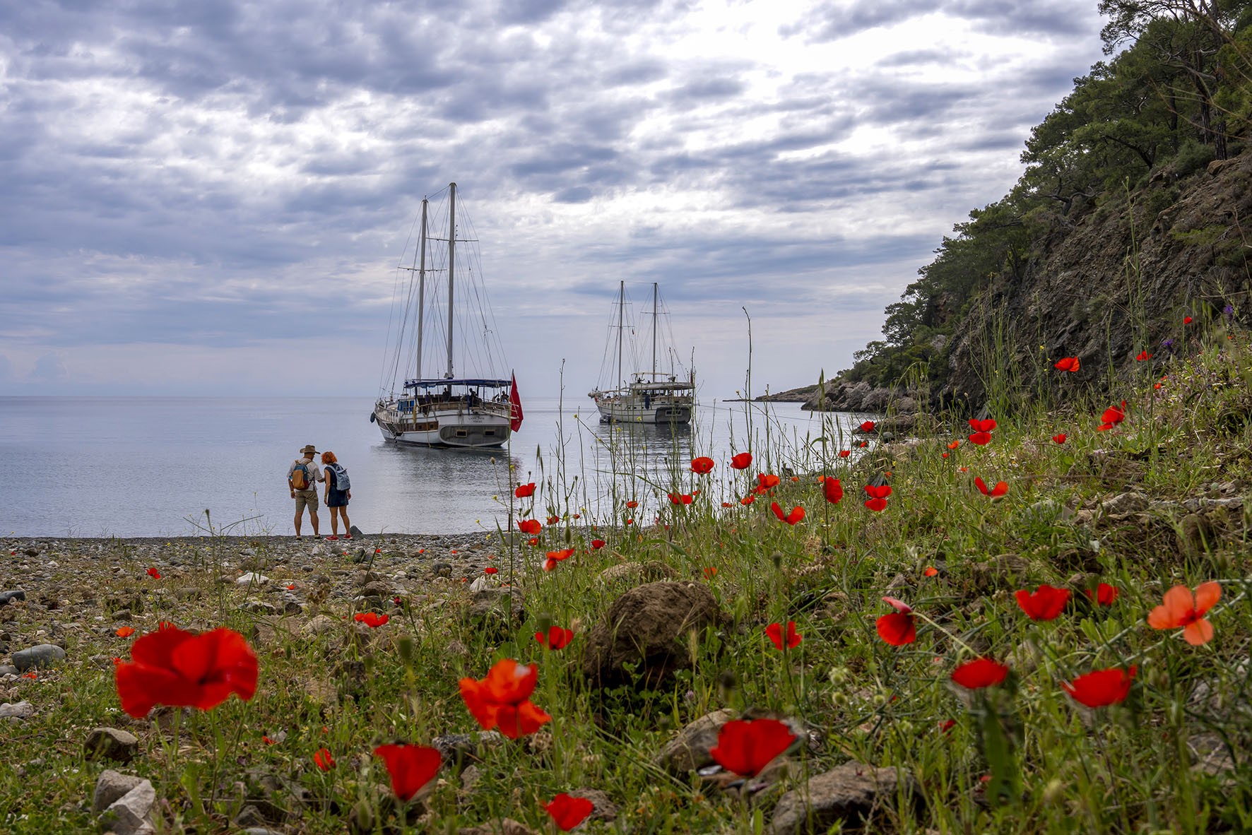 Likyayoluzirvedeyeraldi