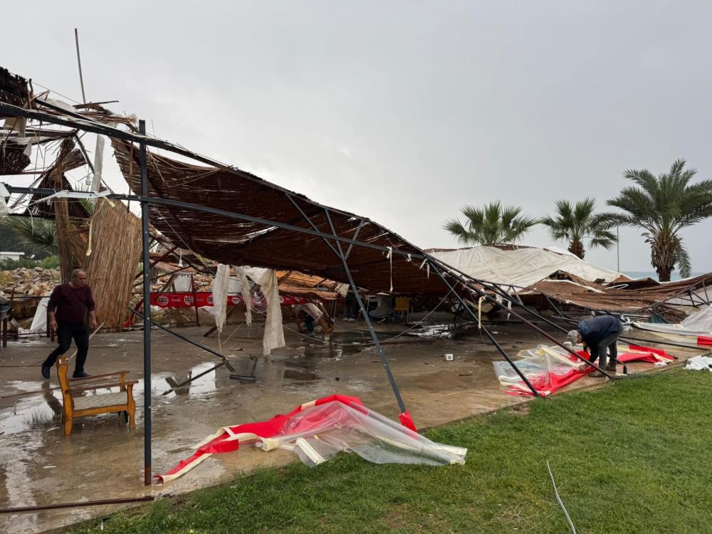 Mersinhortumdayikimetkisi