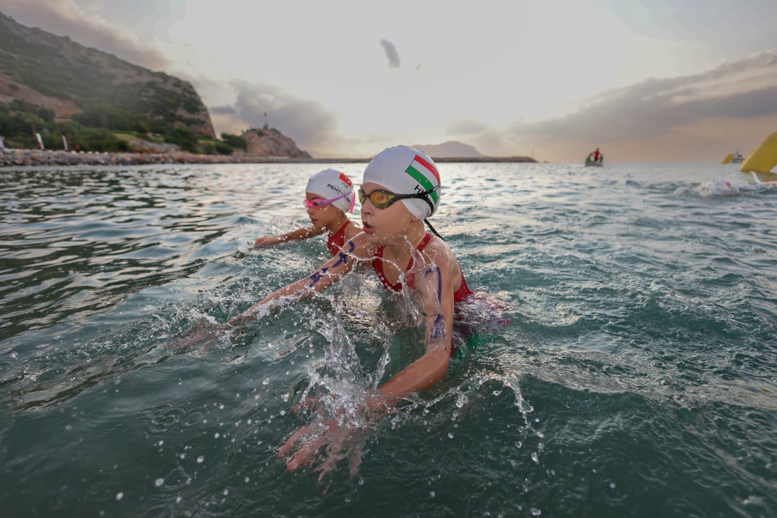 Millisporculardandevbasari