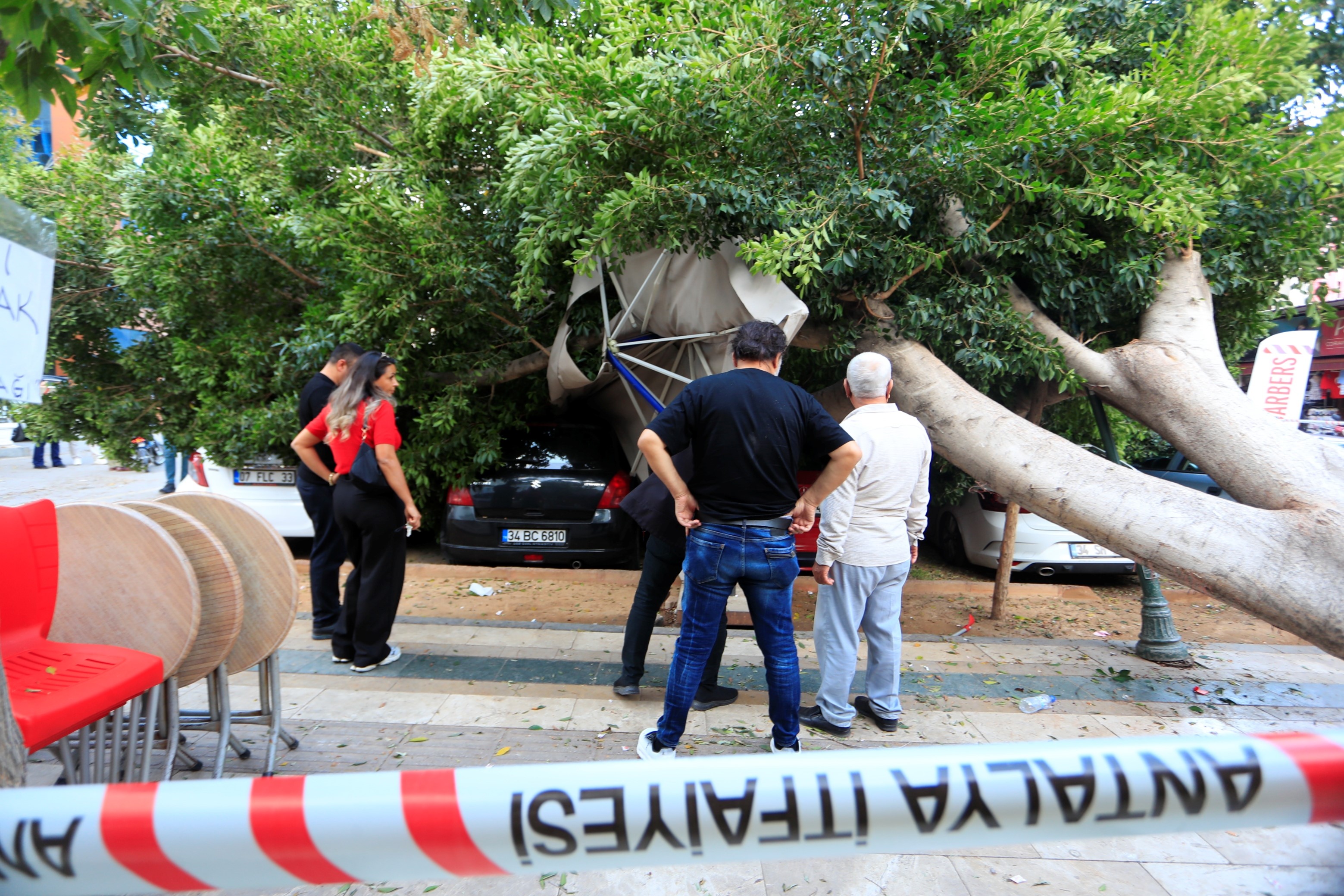 Muratpasadaagackokundendevrildi5Arachurdayadondu