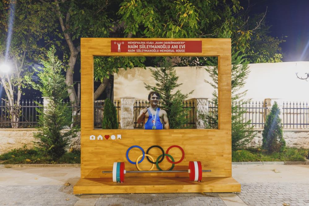 Naimsuleymanoglununeviartıkmuze