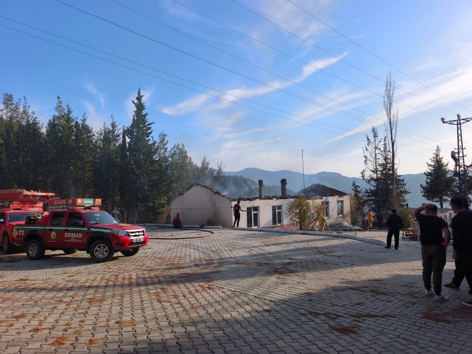 Ormanlikalandayanfinciktiokuladasicradi