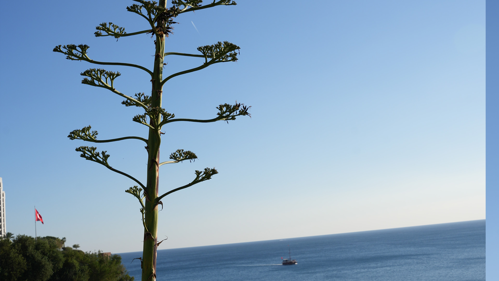 Otelmudurudegerlendirmelerdebulundu