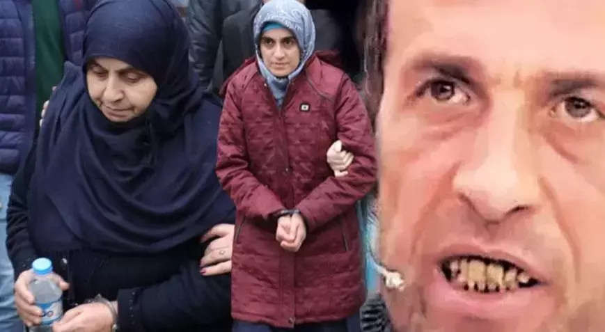 Paluailesininolayine