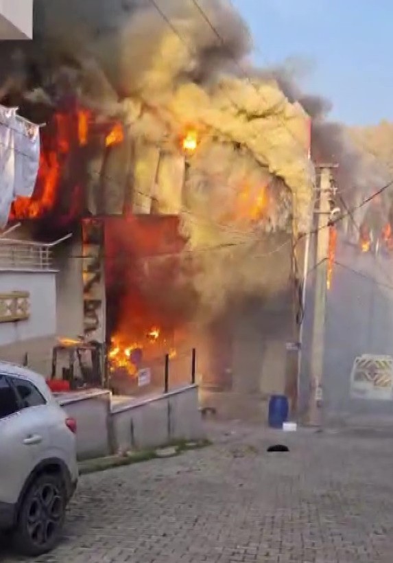 Parrfumtesisindeyangincickti