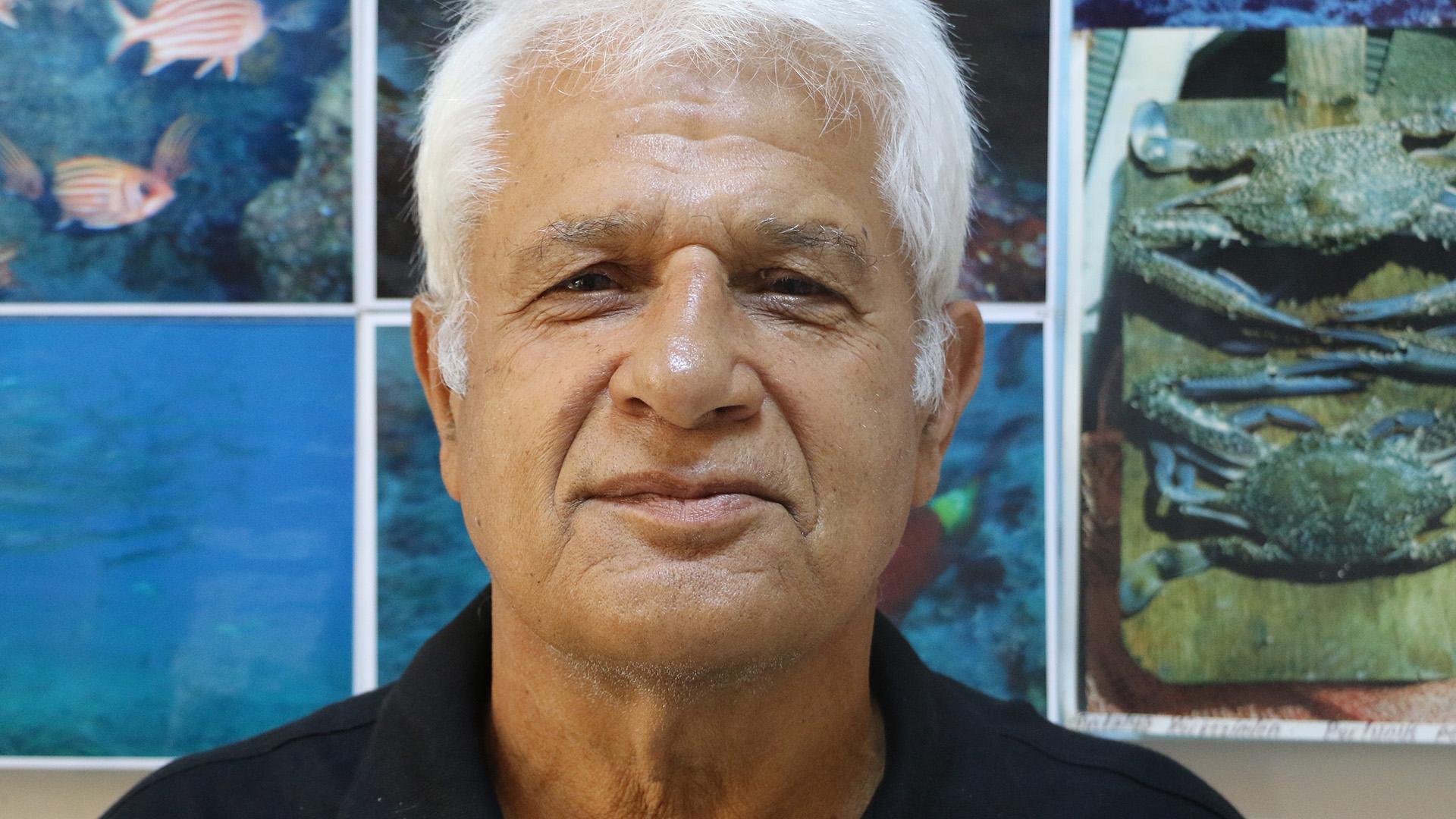 Profdrgokogluaciklamalardabulundu-1