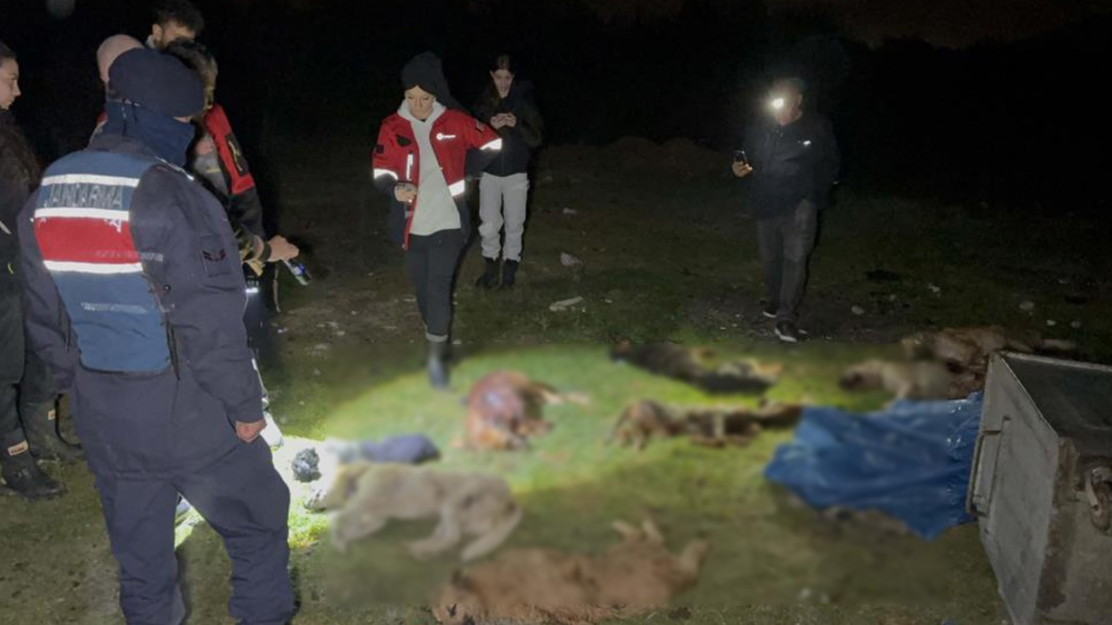 Samsundahayvanlartelefoldu