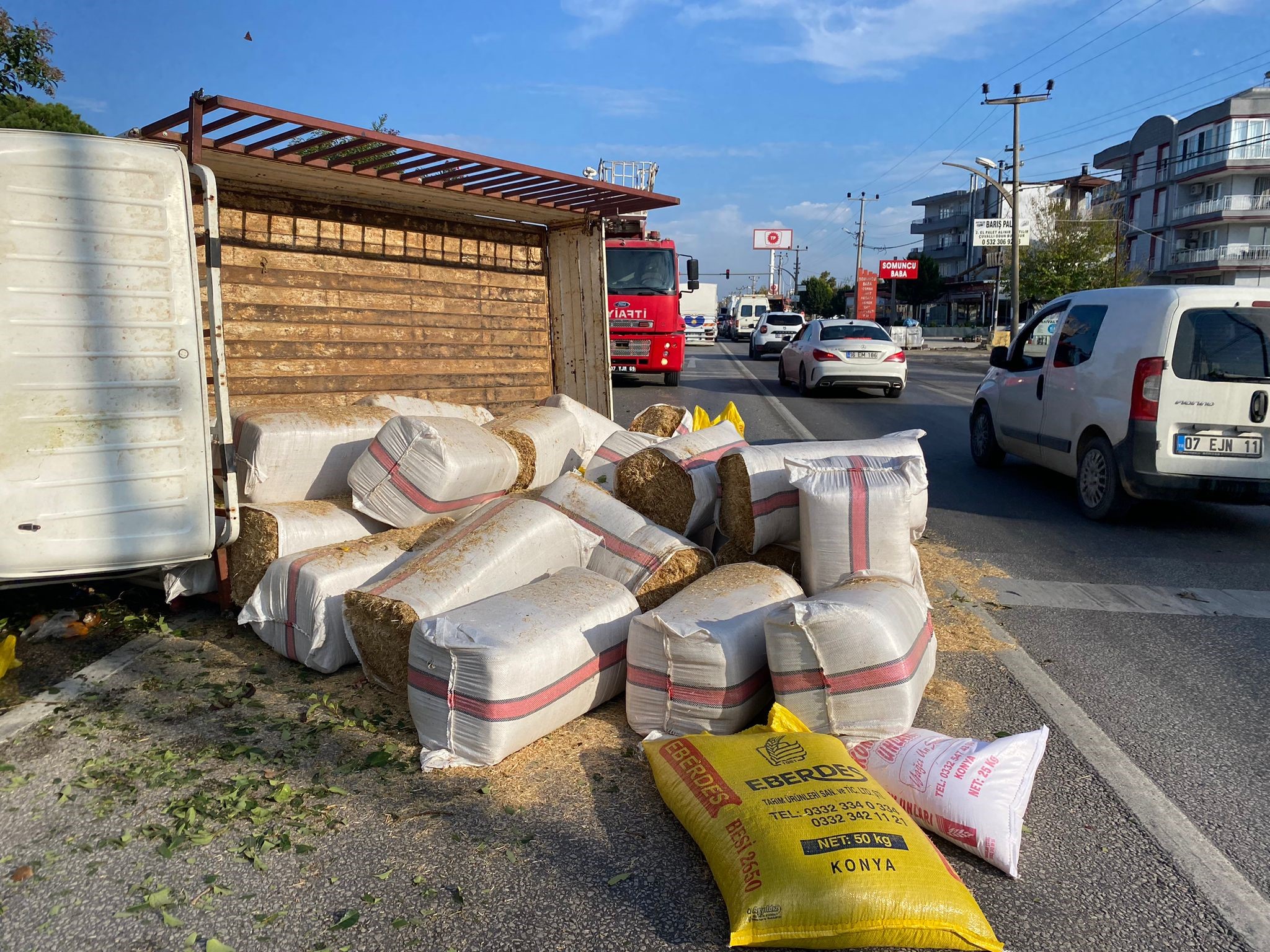 Seriktekazayasandi-2