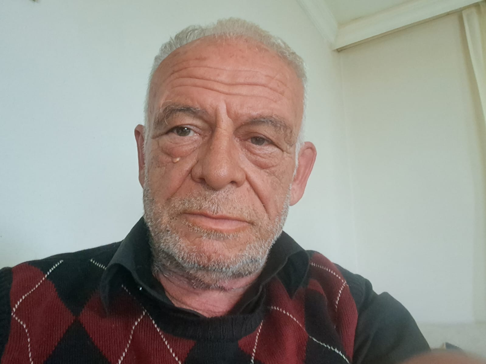 Sokakhayvanlarınasahipcıkılmalı