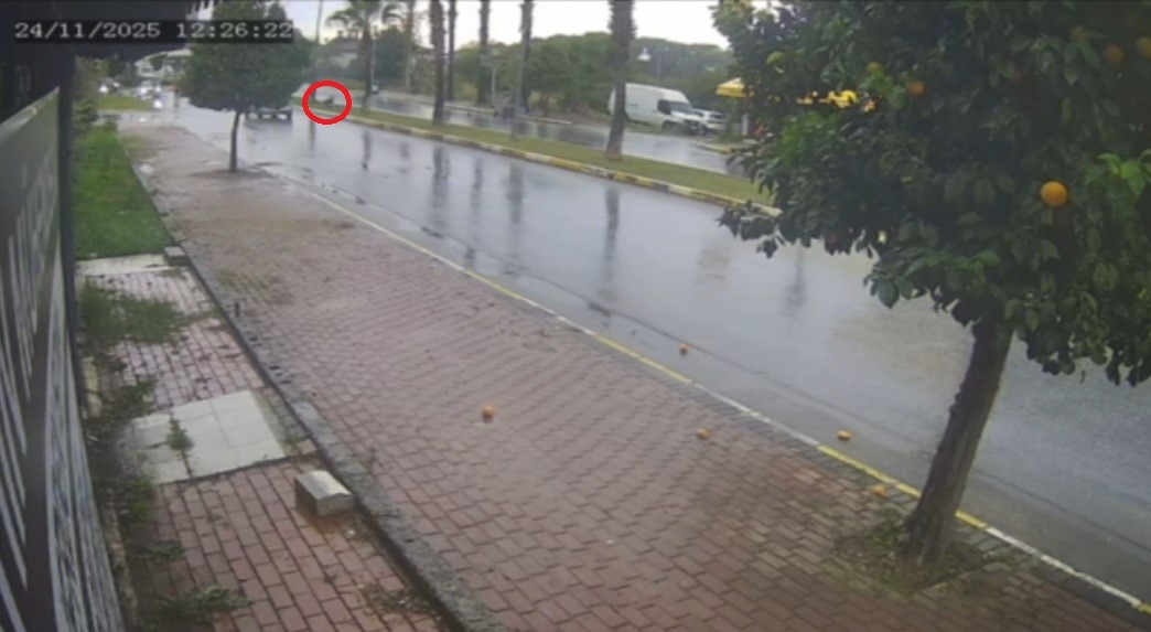 Surucucanhavliylekedn,Nidisariatti