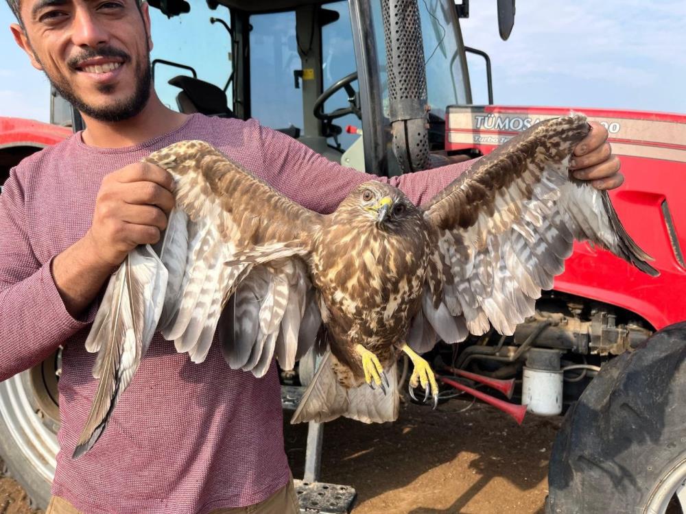 Tarladaucamayansahinigorunceisinibırakıpyardımetti