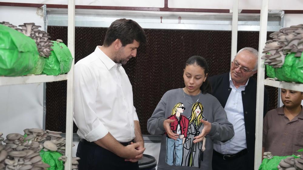 Tarsustaistiridyemantarıegitimi