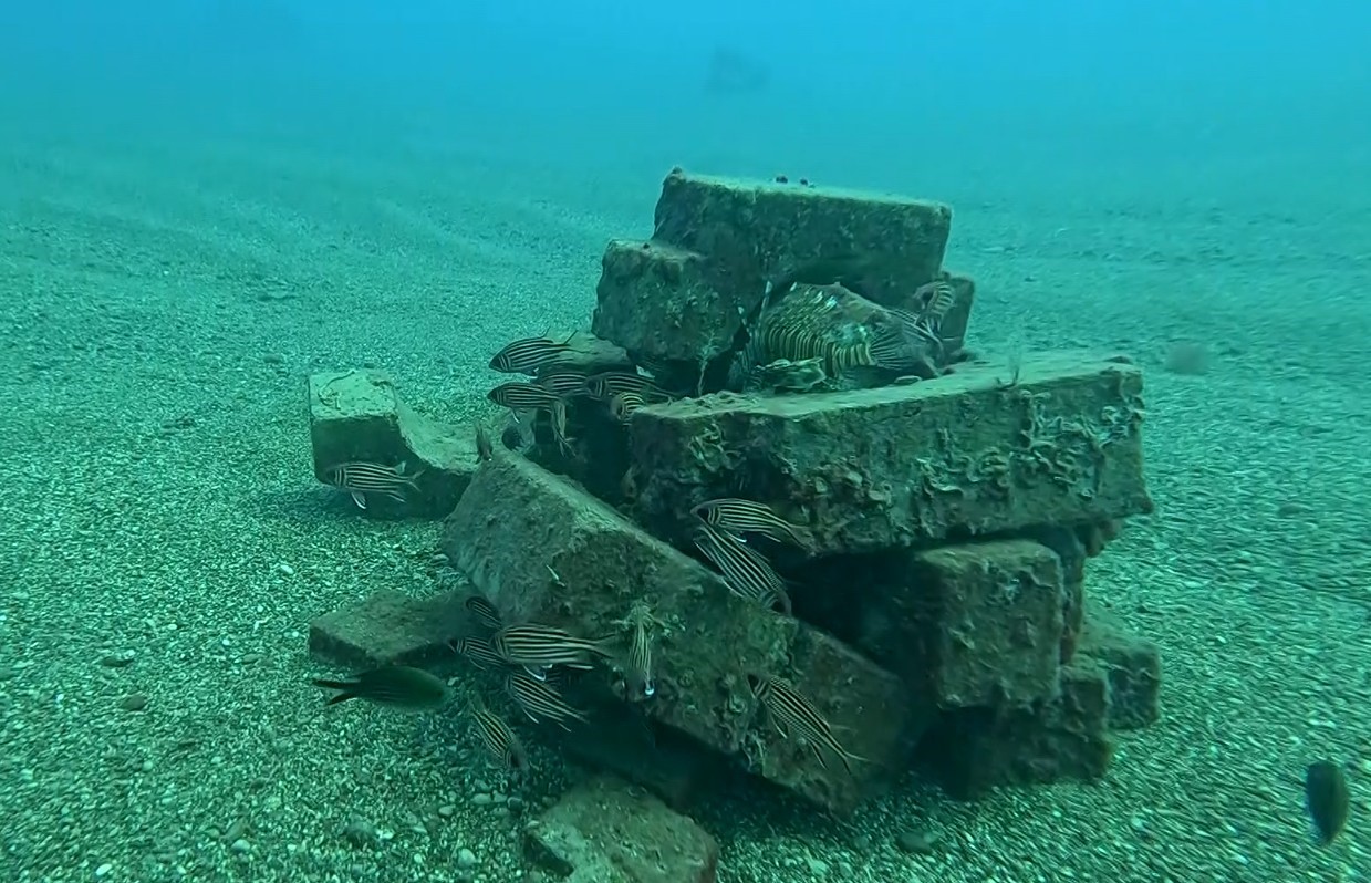 Taslardanbaliklaraevyapti