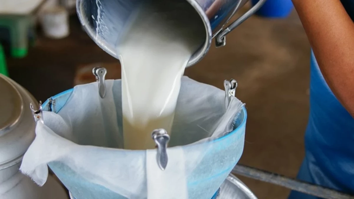 Uskbaskanimujdeyiverditaleptepikyasiyoruz