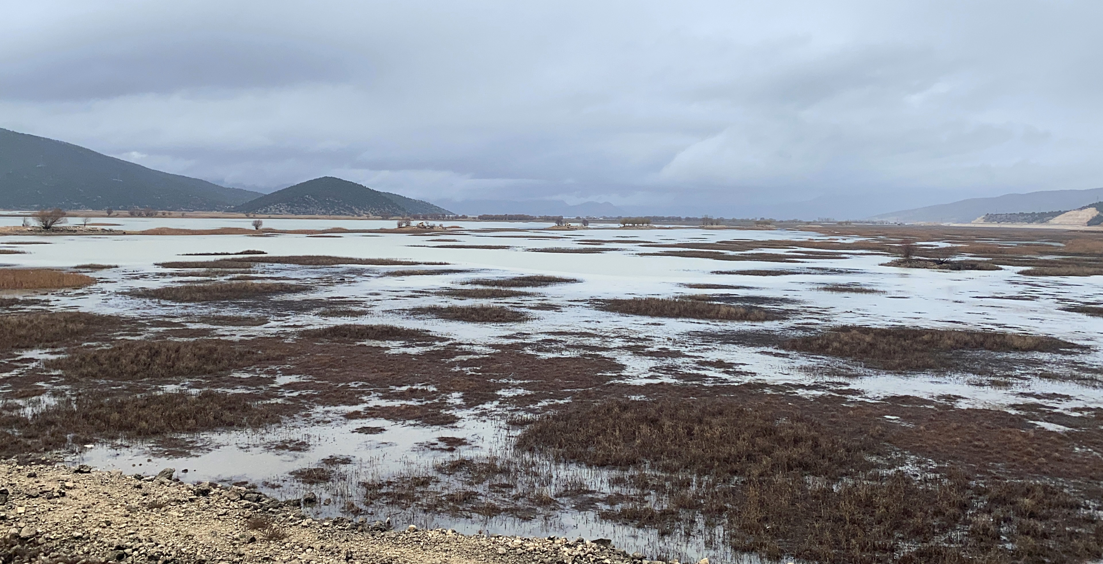 Uzmanisimdenktritikuyari