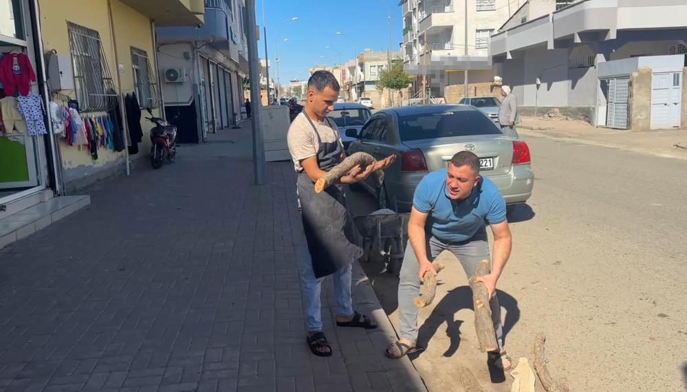 Yanlıstanıyuzundenhayatıkabusadondu