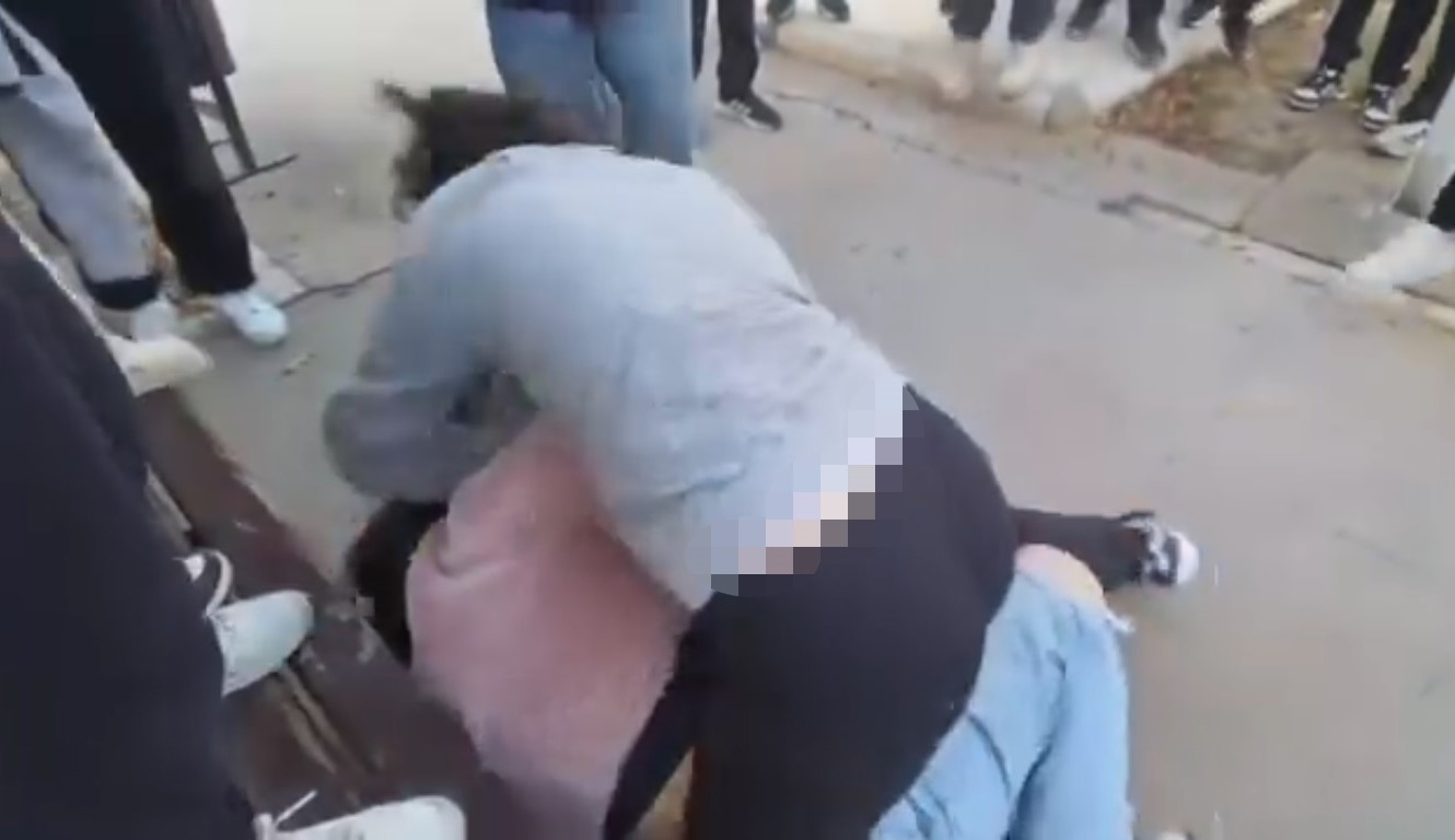 Yineakranzorbaligiyinekizkavgasi