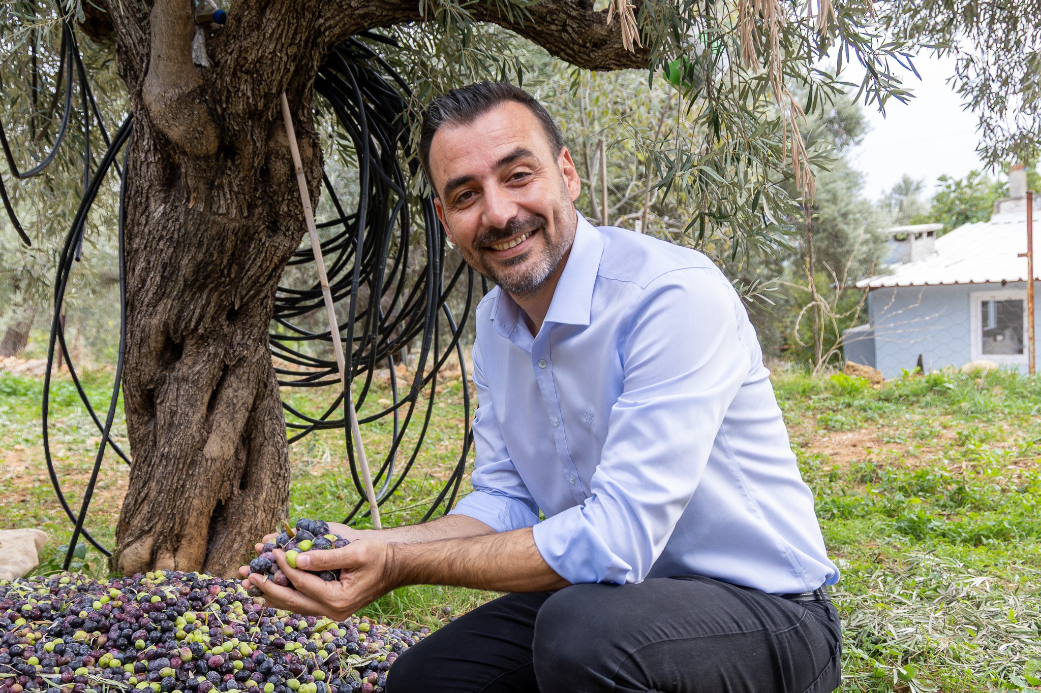 Zeytinveyetinyagifestivaliduzenlendi