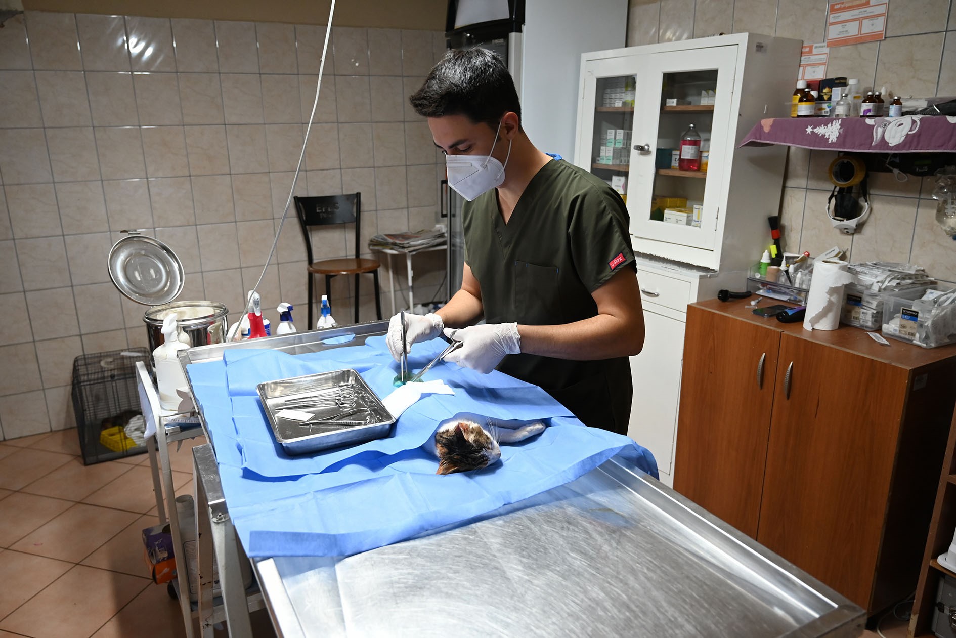 227Hayvanakuduzasisiyapildi