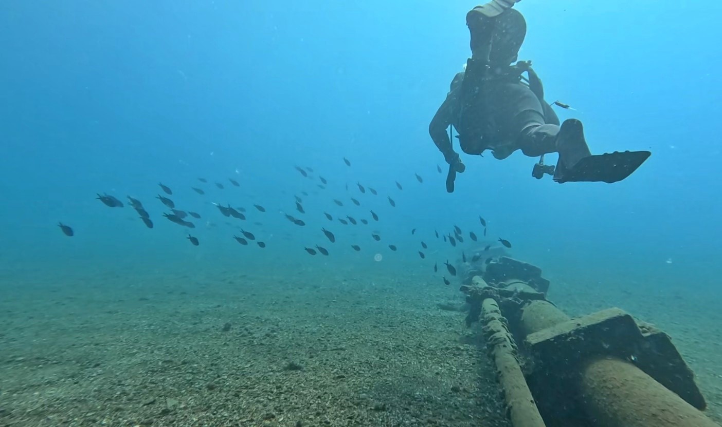 Akdenizdebaliklararasimucadelebasladi