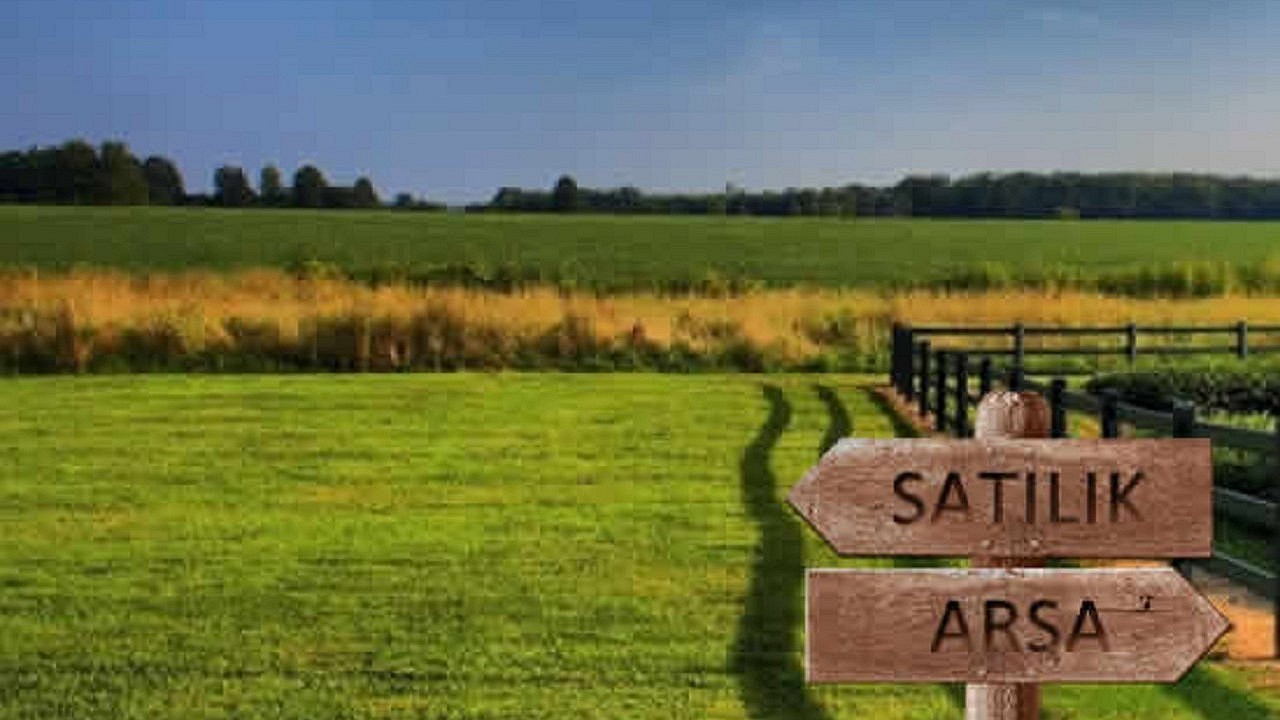 Aksudabuyukfirsatzeytinliksatisacikiyor-1