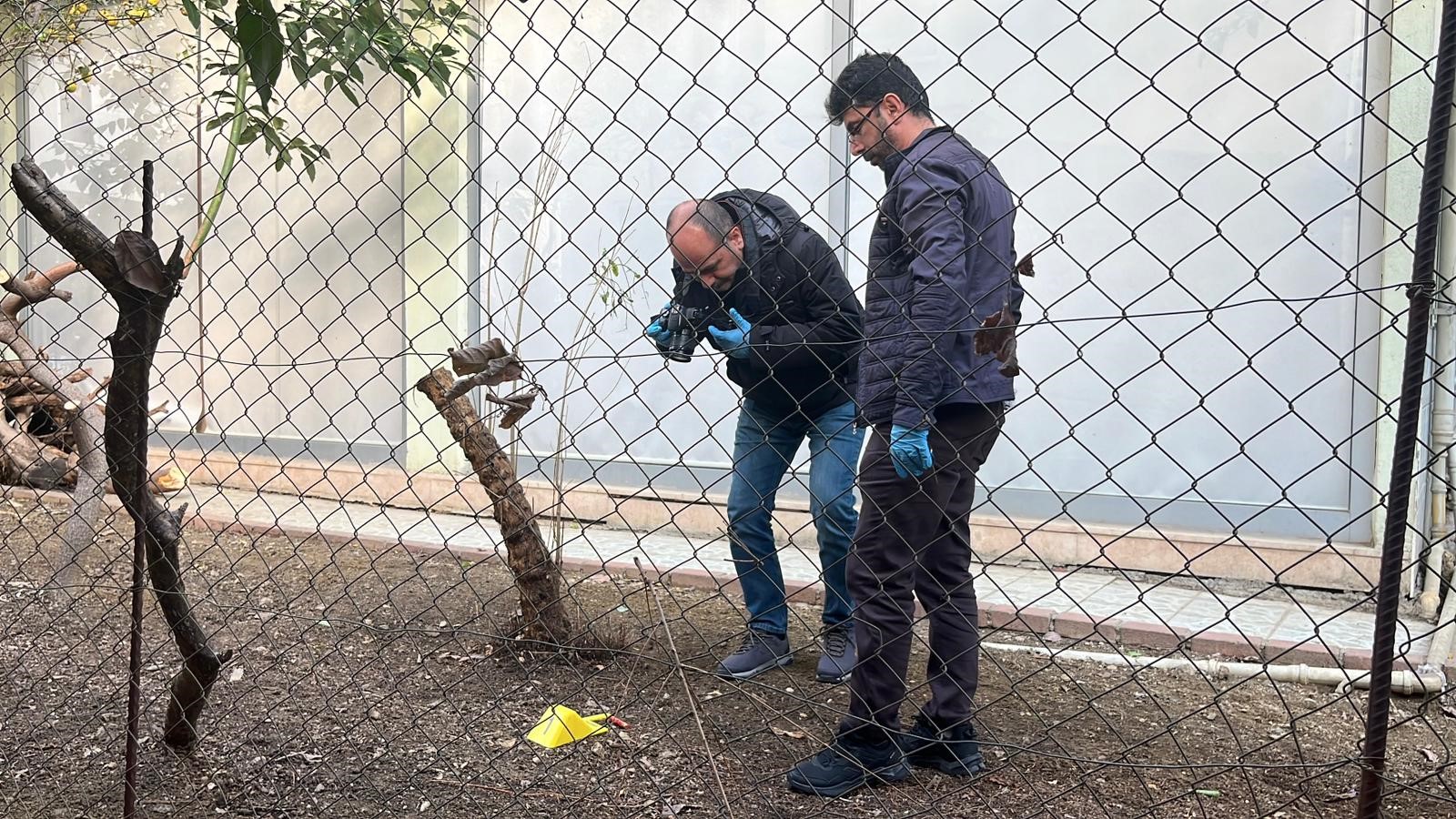 Alanyadaalacakverecekkavgasindakandokuldu