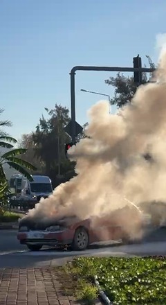 Alanyadaarabacayircayiryandi