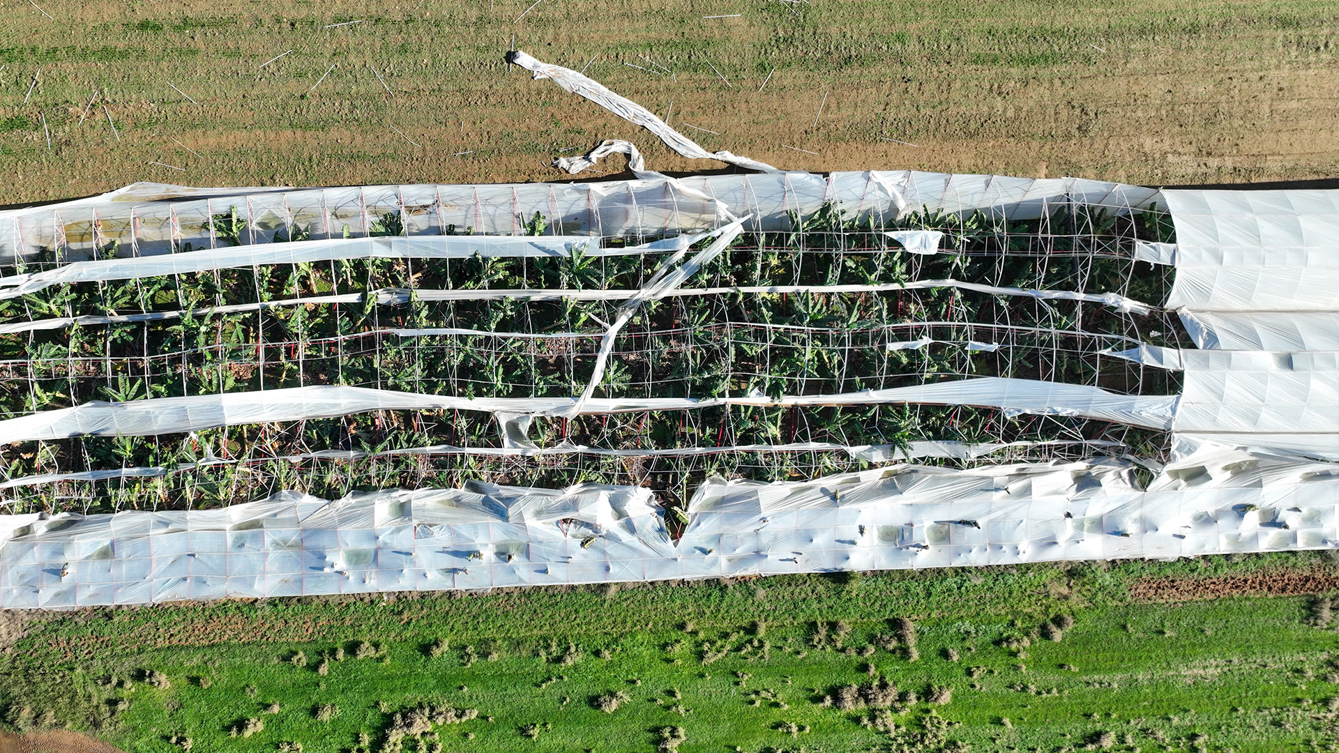 Alanyadaduncikanhortumunzararibugungunyuzunecikti