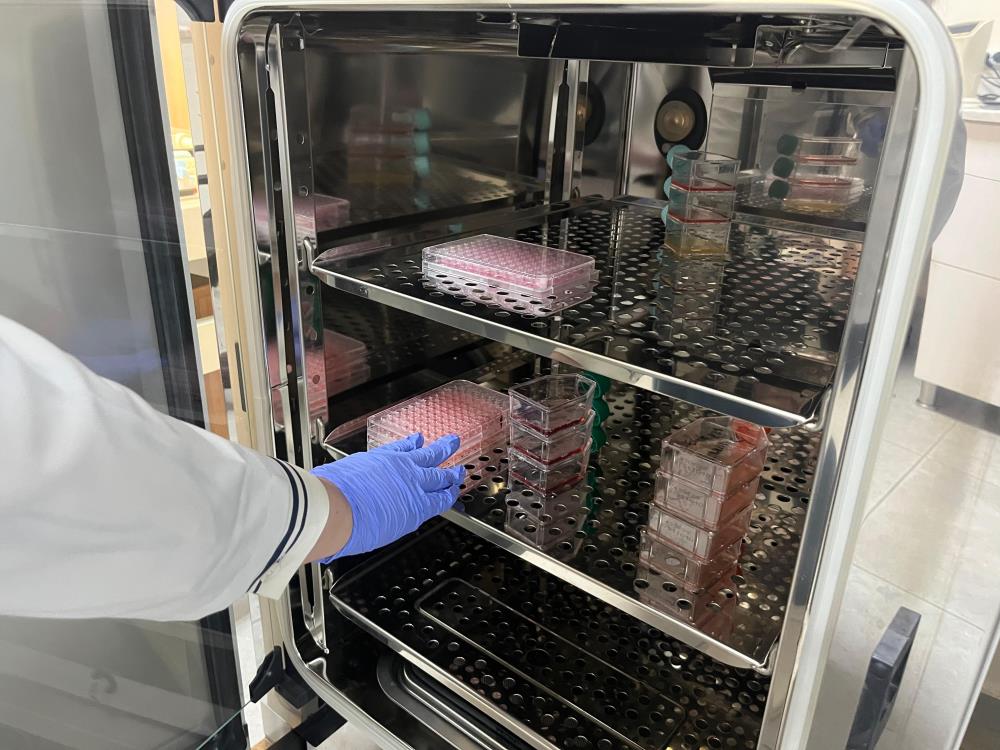 Alanyadaonemlicalısmaorganustucipileparkinsondaerkenteshishedefleniyor