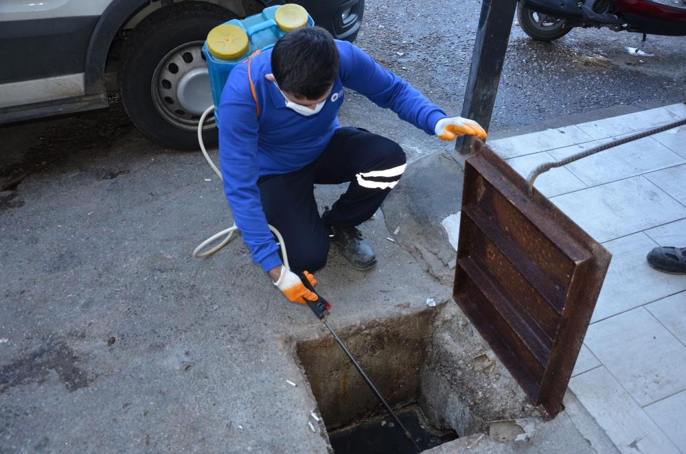 Alanyadavektorelmucadele