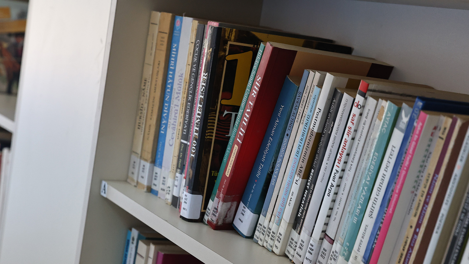 Aliskanlikkazandiriliyor