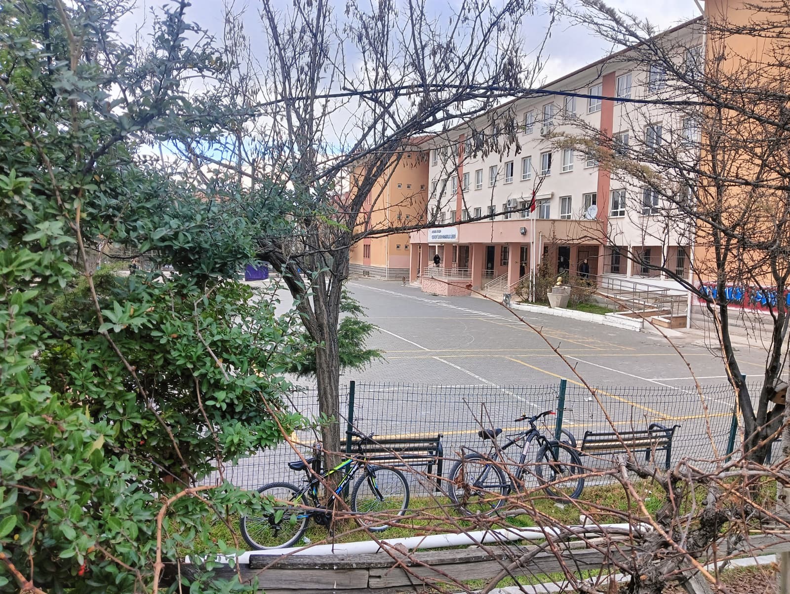 Ankaradaayagakaldiranolayogrencilerinecinselorganinigosterdi