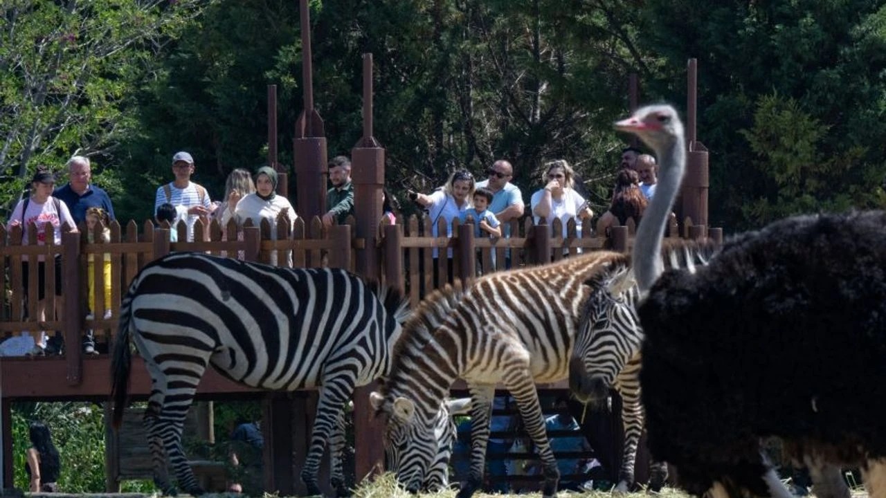 Antalyadadogalyasamparkıkapanıyormusebebibuymus