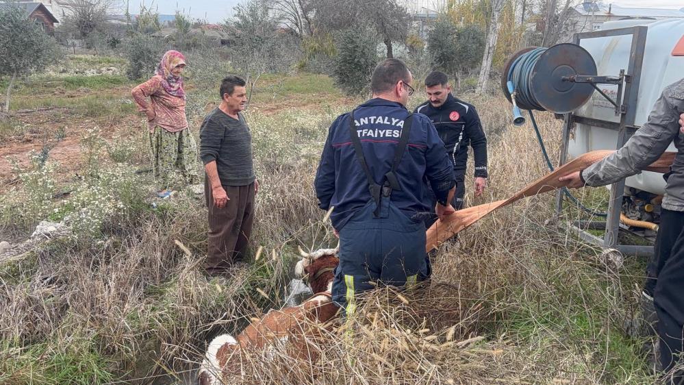 Antalyadaitfaiyeekiplerikanaladuseninegi1Saattekurtardı