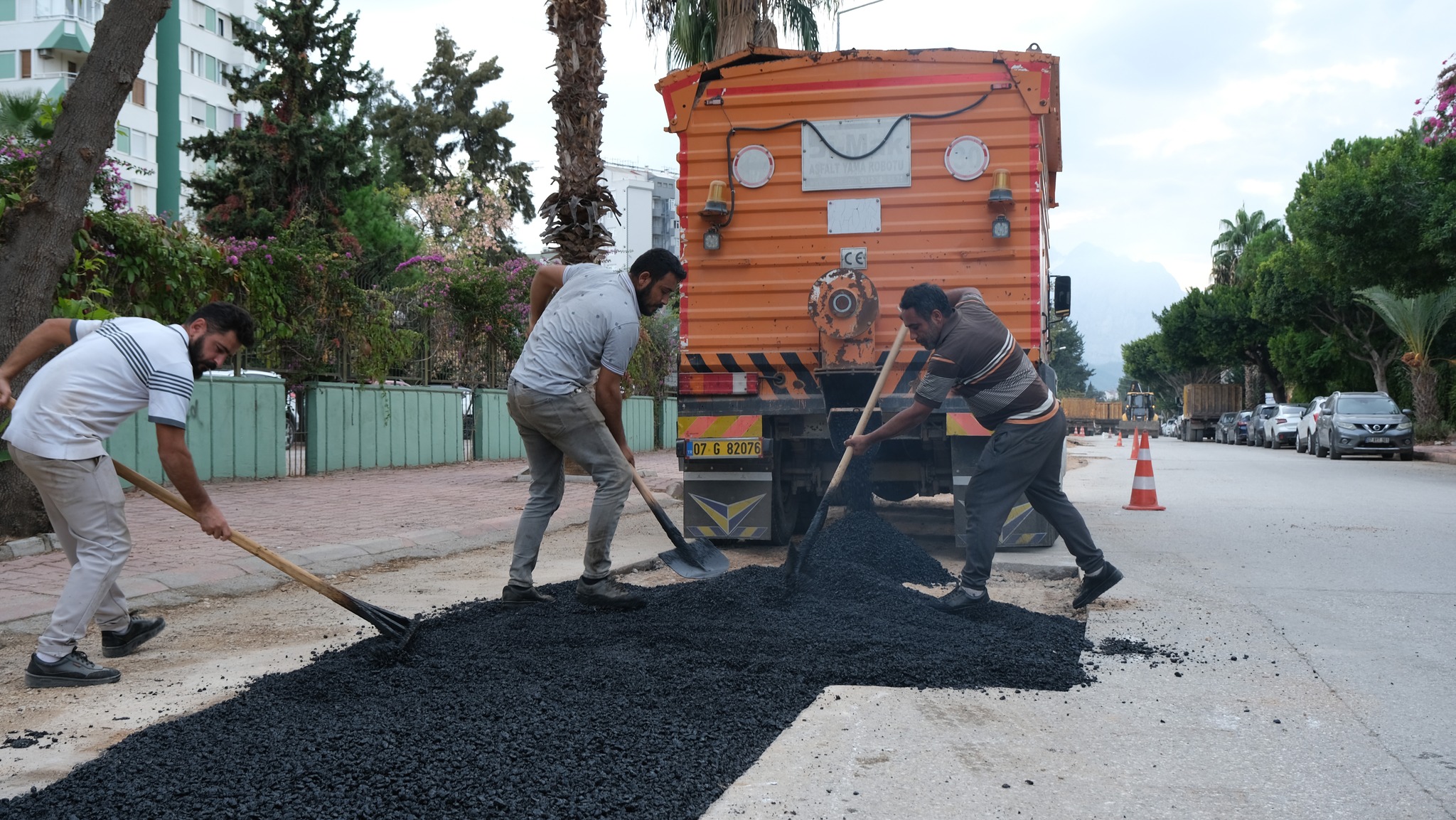 Antalyadaltyapıcalısması