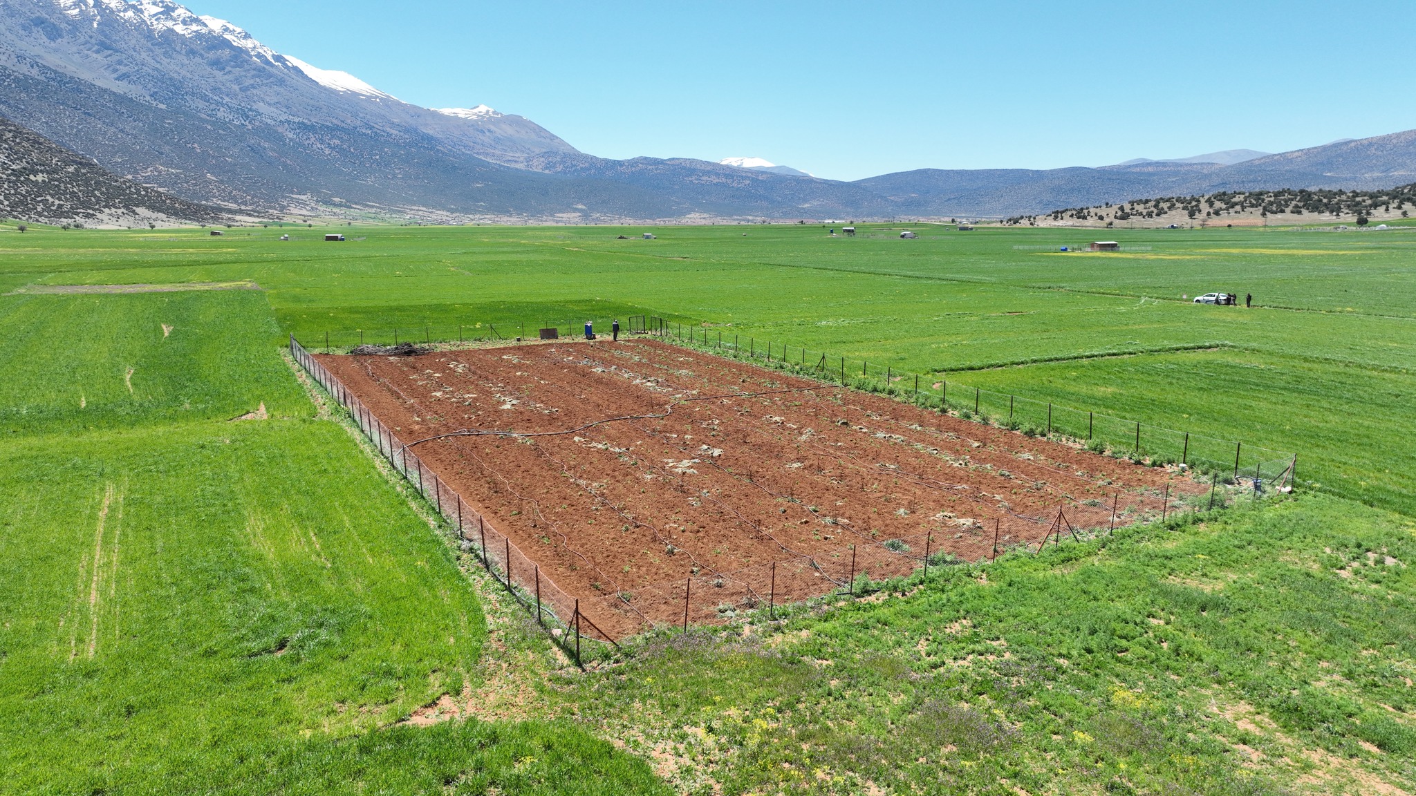 Antalyadamodernsulamahamlesi42Bin900Dekaralansuyakavustu