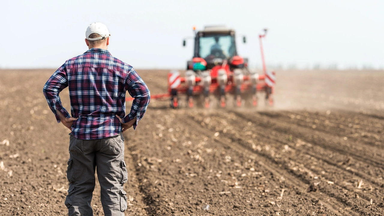 Antalyadaureticineyapacakbirtaraftesvikettidigertarafacitabloyugosterdi