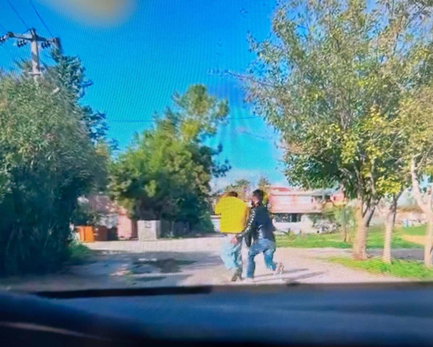 Antalyadazeytinkoyyinemeydandakopekleregosterilentepkibudurumagosterilmiyor