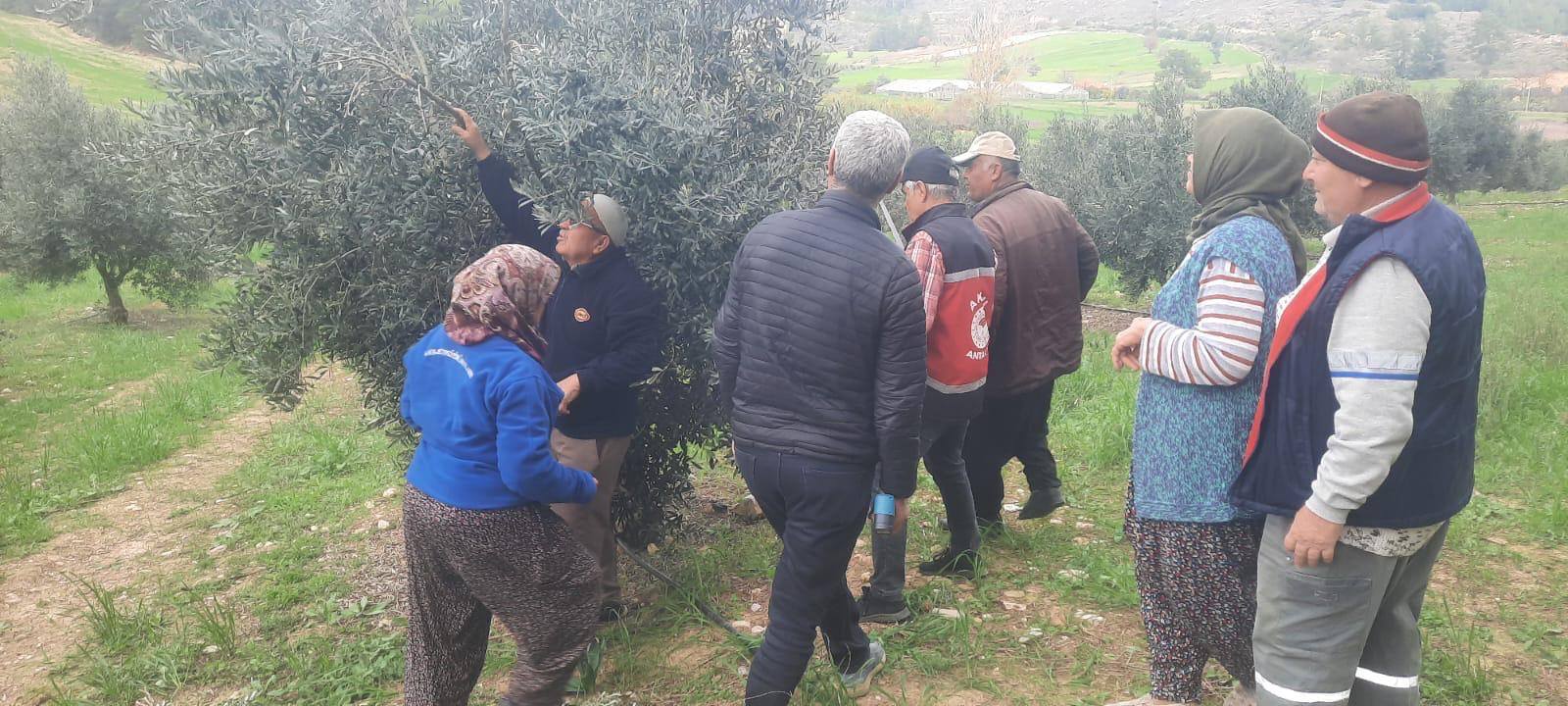Antalyatarımındayenidonem