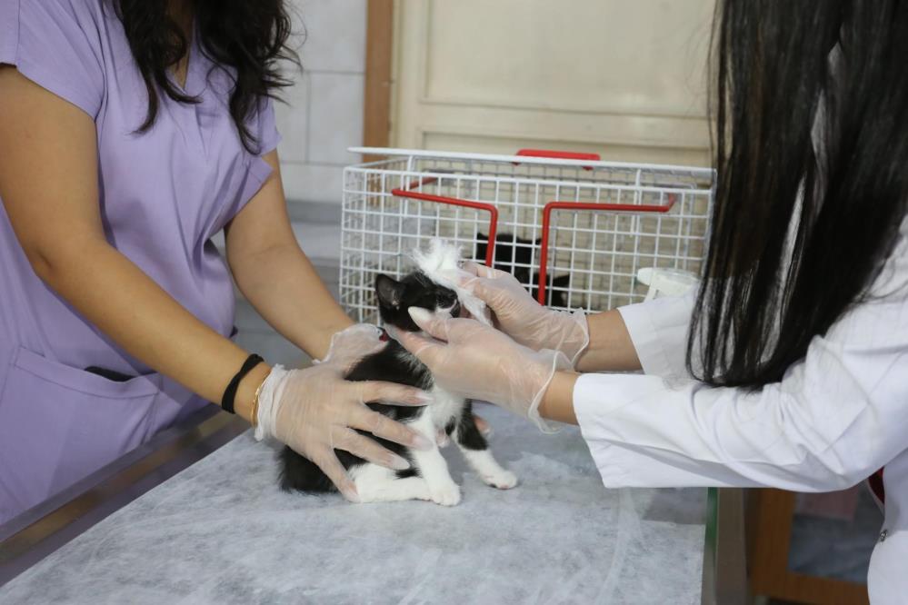 Belediyepersonelinesaldırıbelediyebaskanıkınadı