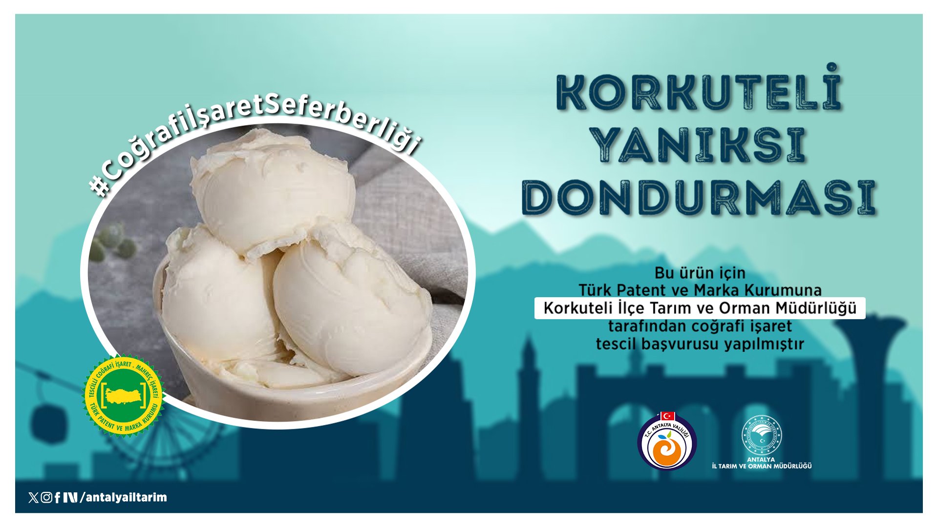 Birurundahamarkalasiyortescilsirasikorkutelinde