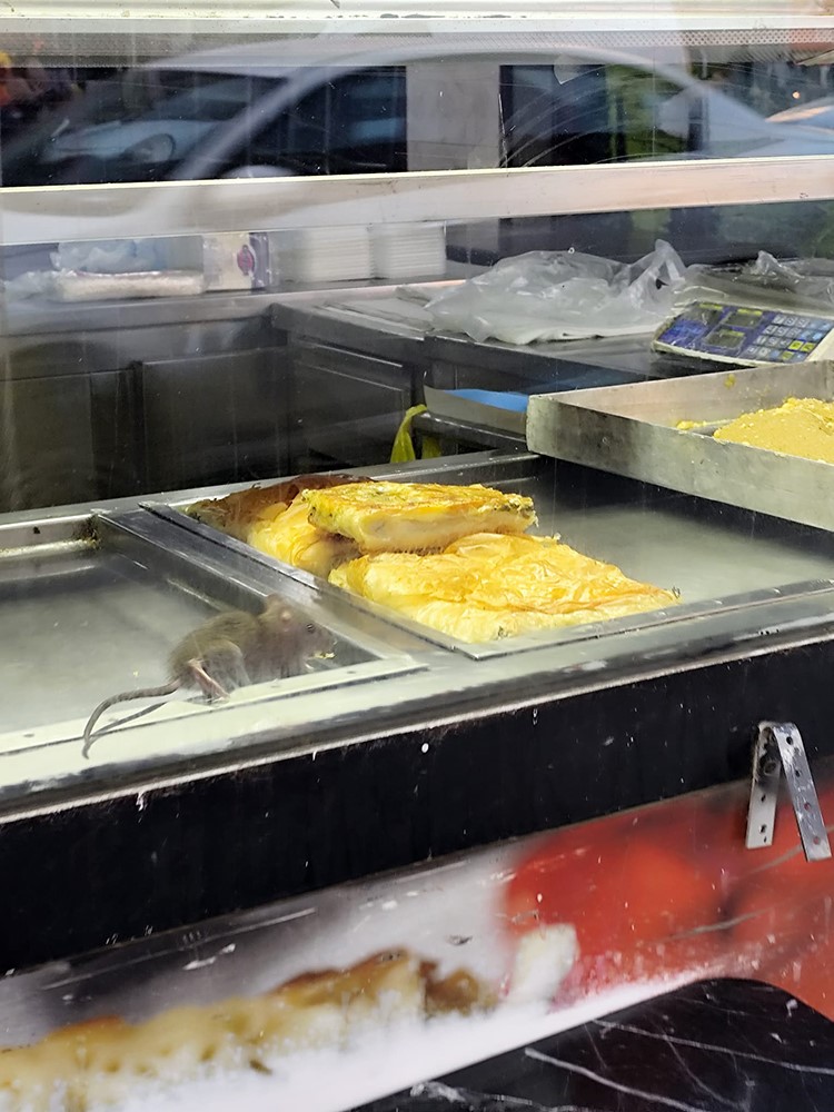 Borekcidesokeedengoruntulerfaregezdi